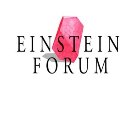 Einstein Forum and Wittenstein Foundation Fellowship Program 2024