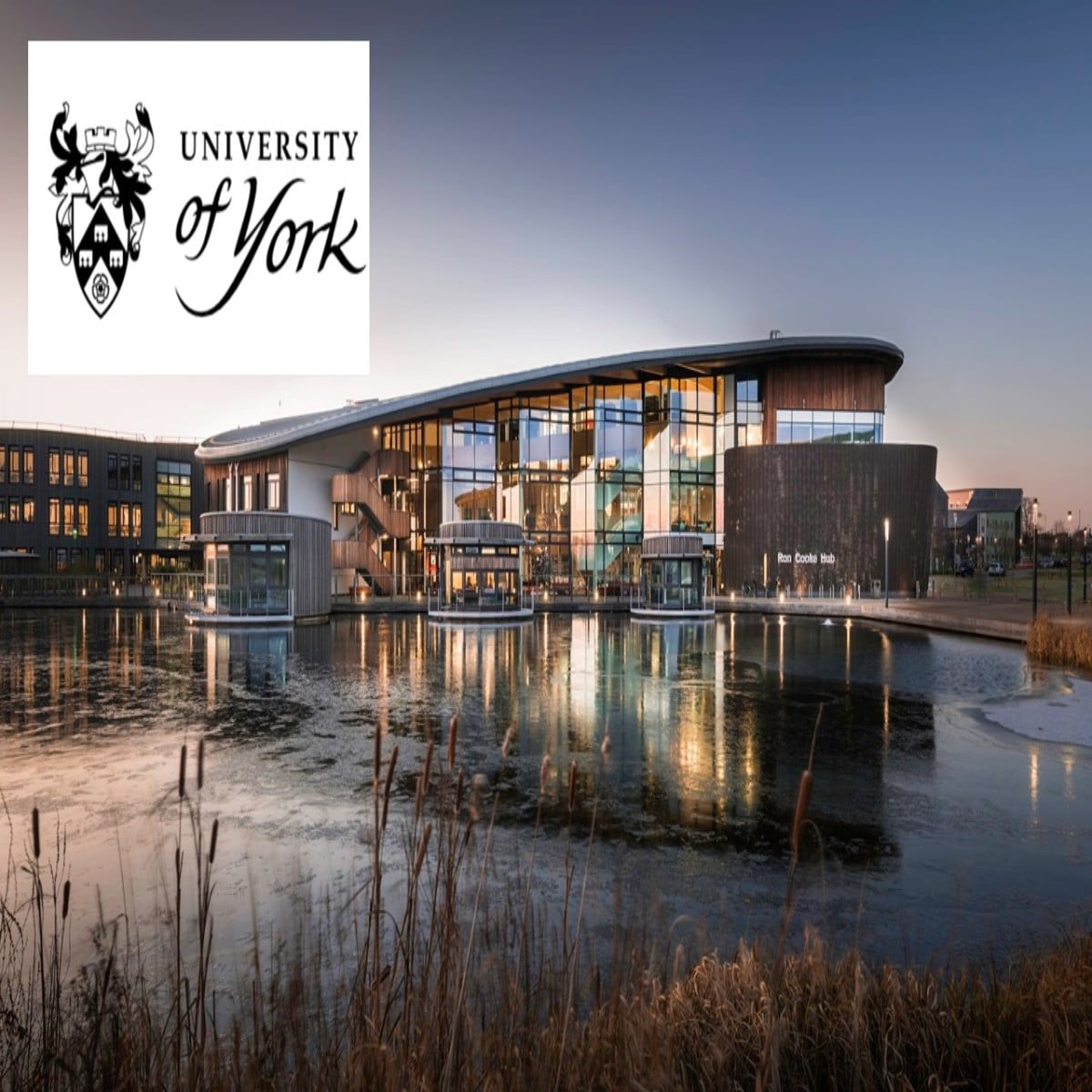 International Regional Scholarship 2024 at University of York