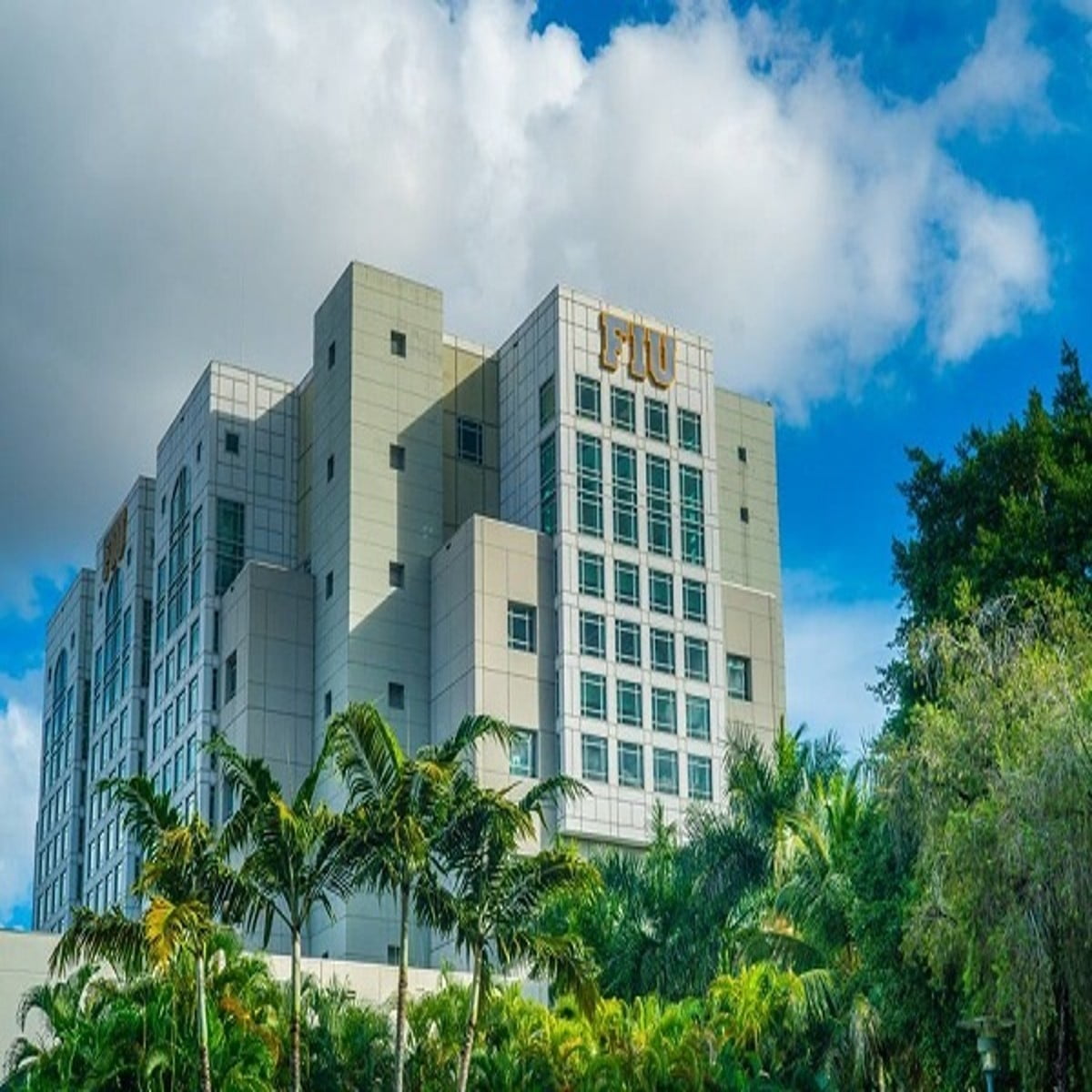 Doctorate in Business Administration Scholarships 2024 at Florida International University