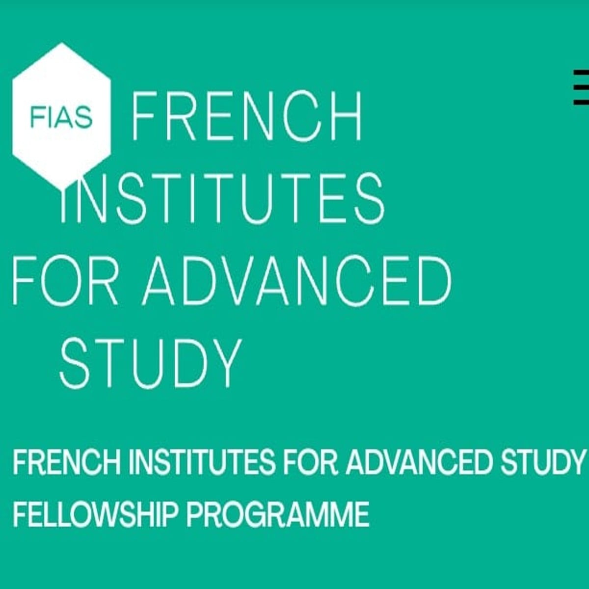 French Institutes for Advanced Study Fellowship 2025