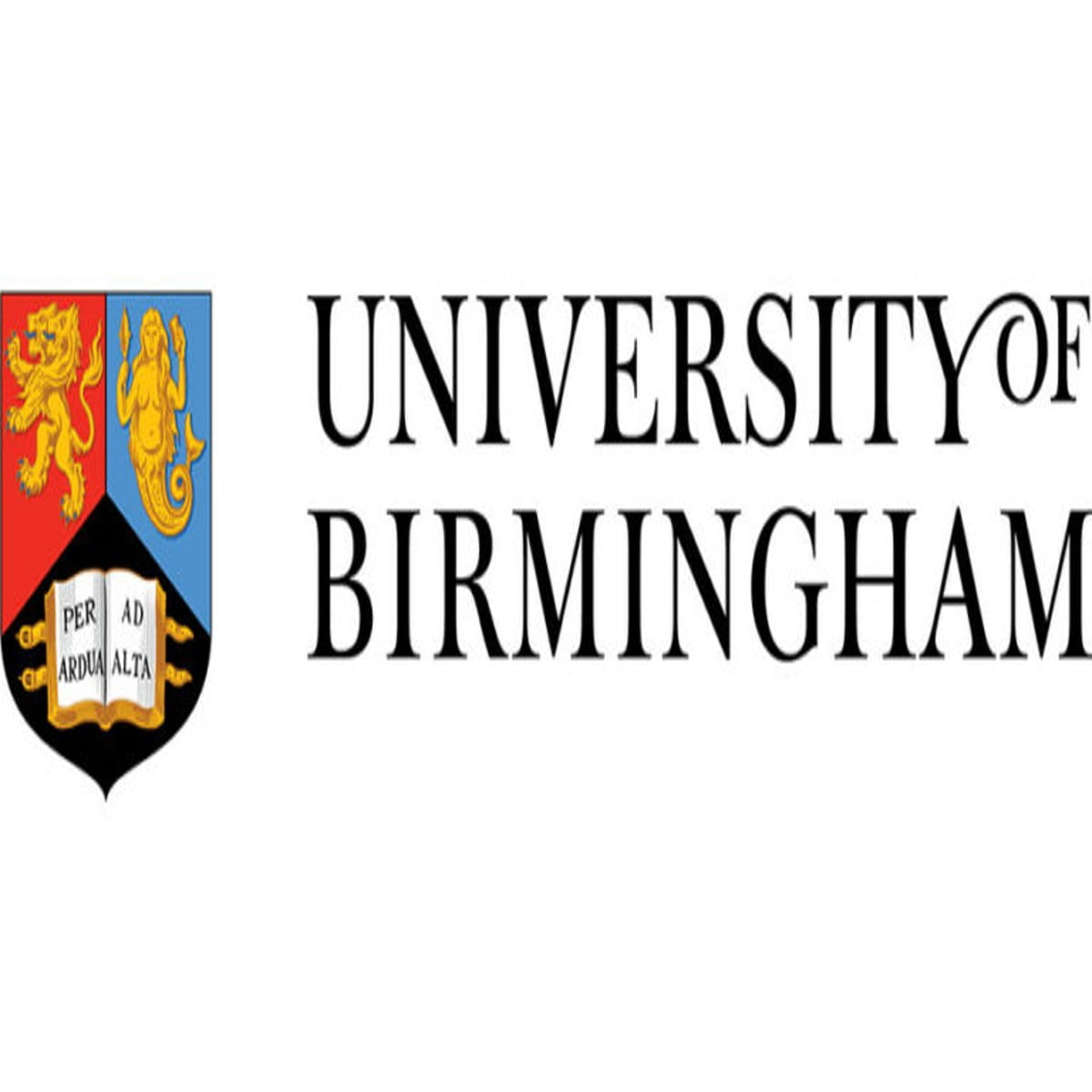 DeepMind Computer Science Scholarship 2024 University of Birmingham