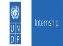 UNDP Graduate Programme 2024