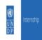 UNDP Graduate Programme 2024