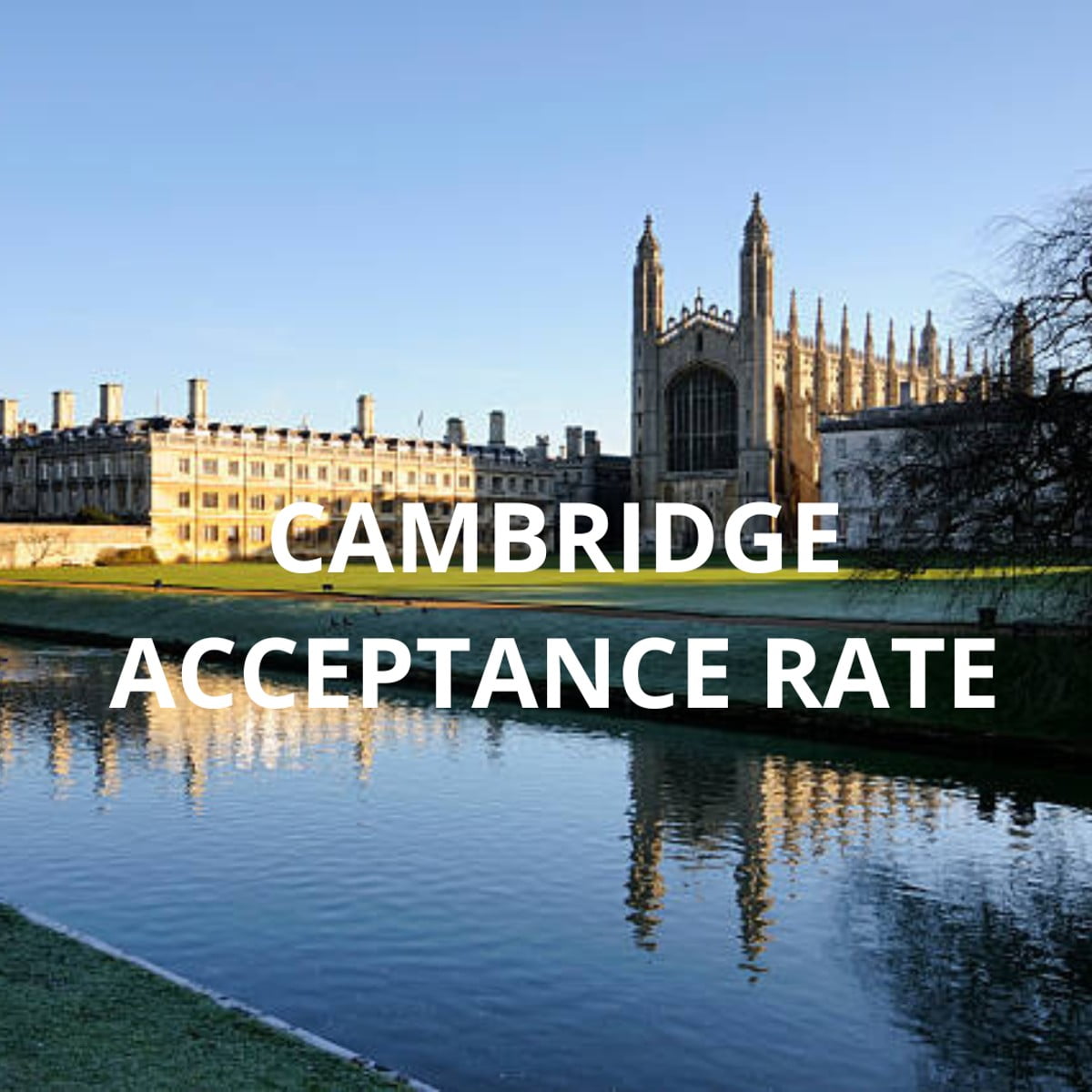 University of Cambridge Acceptance Rate, Admission 2024