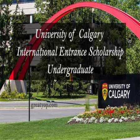 Canada International Entrance Scholarships 2024 at University of Calgary