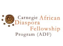 Carnegie African Diaspora Fellowship Program 2024 for Africans