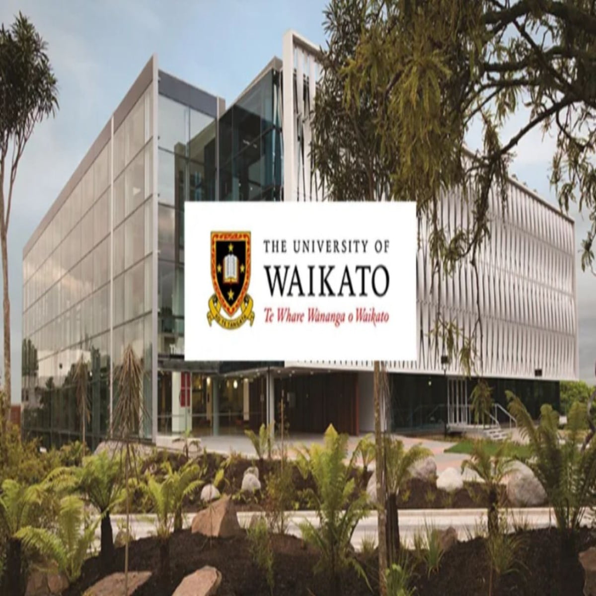 Computer Science Scholarship 2024 at University of Waikato