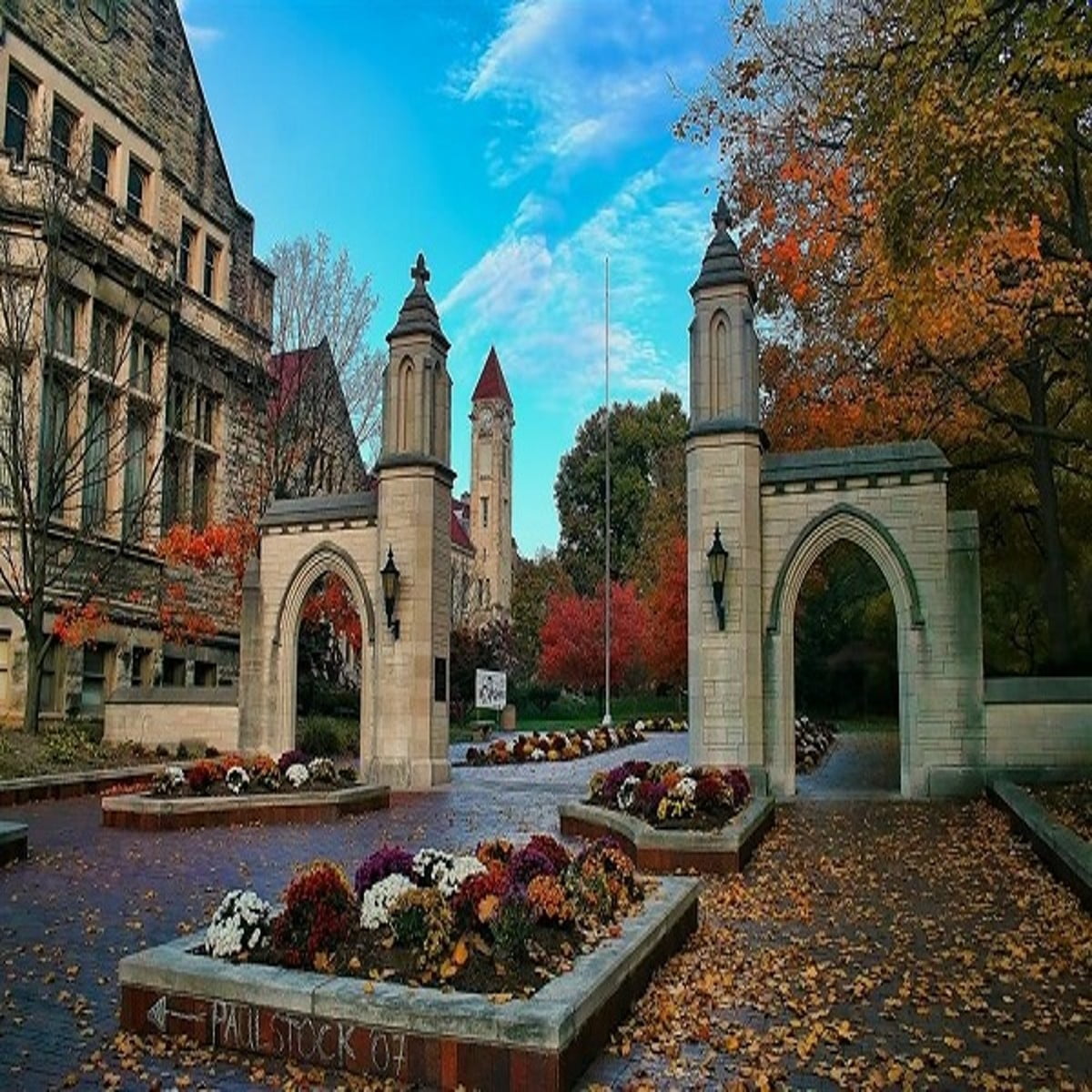 Indiana University Bloomington Acceptance Rate, Admission 2024