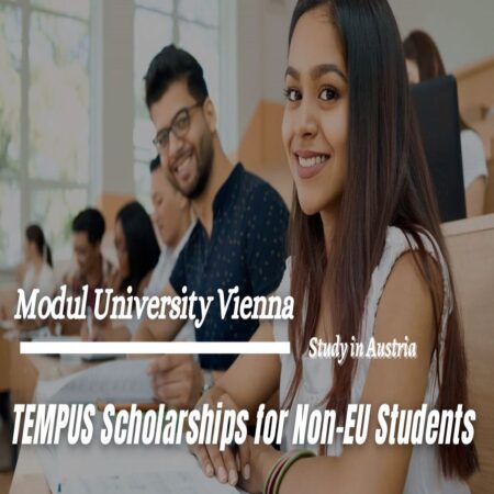 TEMPUS Scholarships 2024 for Non-EU Students in Austria