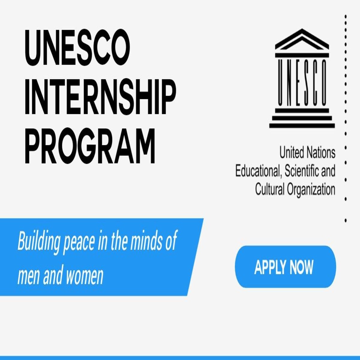 DETAIL Internship Programme for Students and Graduates 2024