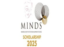 MINDS Scholarship Programme for African 2025