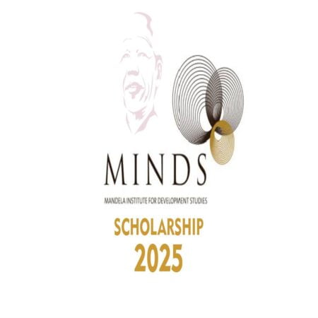 MINDS Scholarship Programme for African 2025