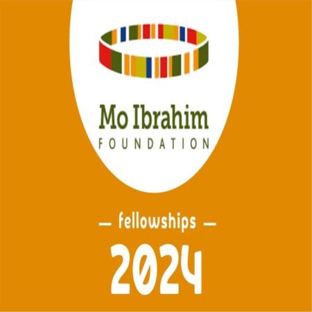 Mo Ibrahim Leadership Fellowship 2025 for African Professionals