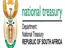 National Treasury Audit Committee Member in South Africa