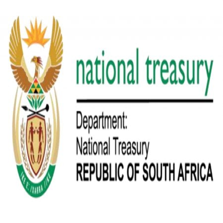 National Treasury Audit Committee Member in South Africa