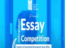 UNDP Undergraduate Essay Competition 2024 for Nigerian Students