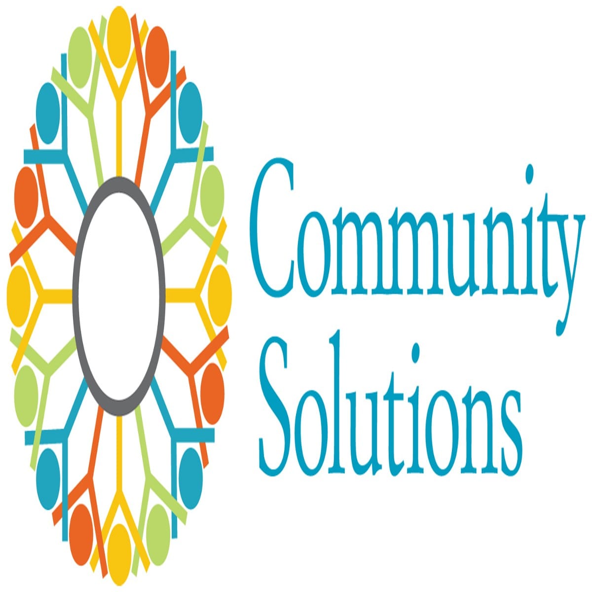 IREX Community Solutions Program 2025