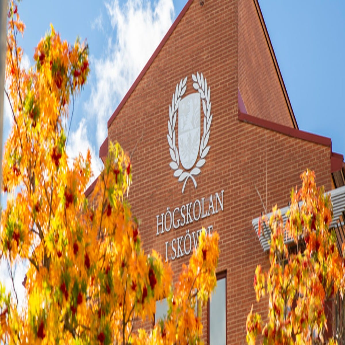 University of Skövde in Sweden Masters Scholarships 2025